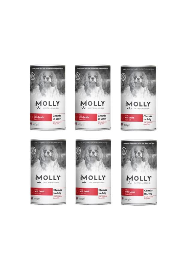 Molly Konserve Yetişkin Köpek Jöleli Kuzulu Parça Etli 400 Gr (6 Adet)
