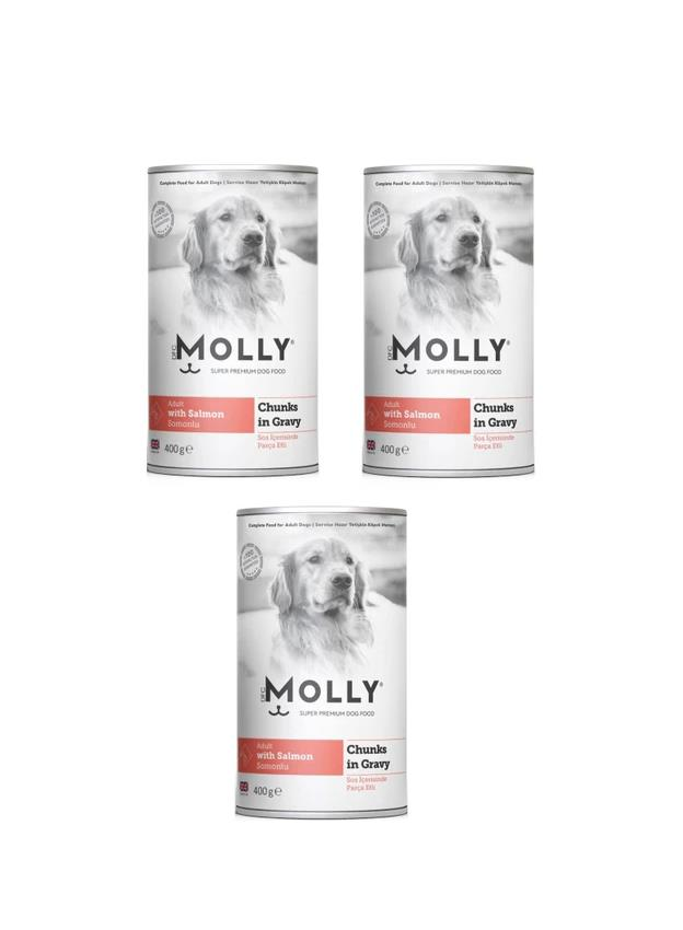 Molly Konserve Yetişkin Köpek Soslu Somonlu 400 Gr (3 Adet)