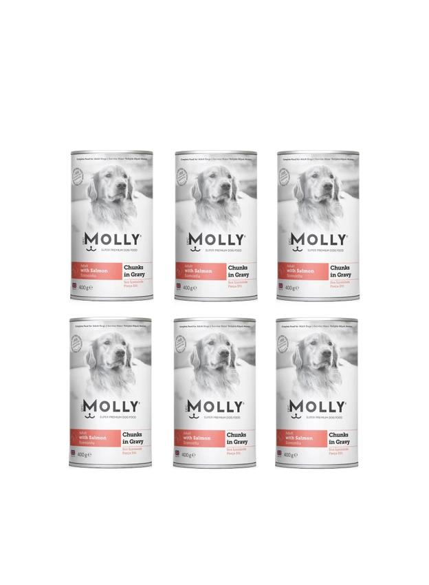 Molly Konserve Yetişkin Köpek Soslu Somonlu 400 Gr (6 Adet)