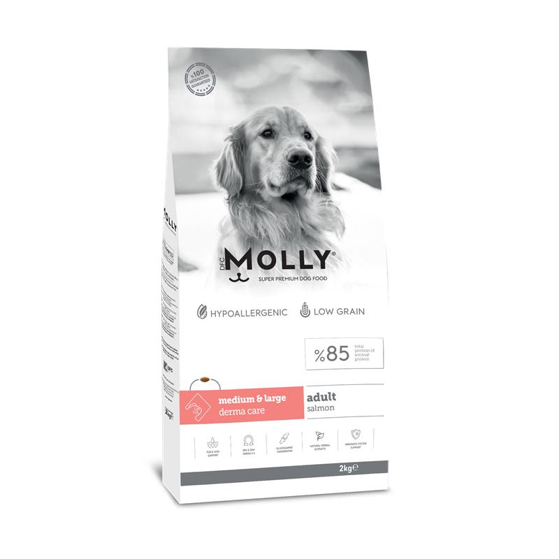 Molly Orta ve Büyük Irk Yetişkin Köpek Maması Somonlu 2 Kg