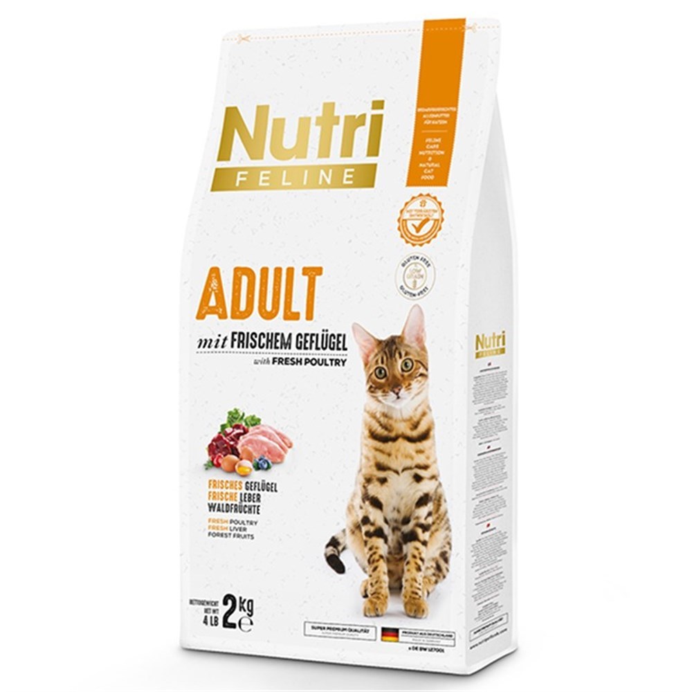 Nutri Feline Adult Salmon Somonlu Yetişkin Kedi Maması 2 Kg