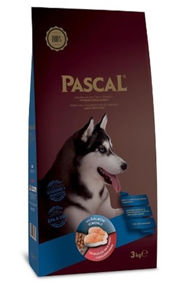 Pascal Orta ve Büyük Irk Yetişkin Köpek Maması Somonlu 3 Kg