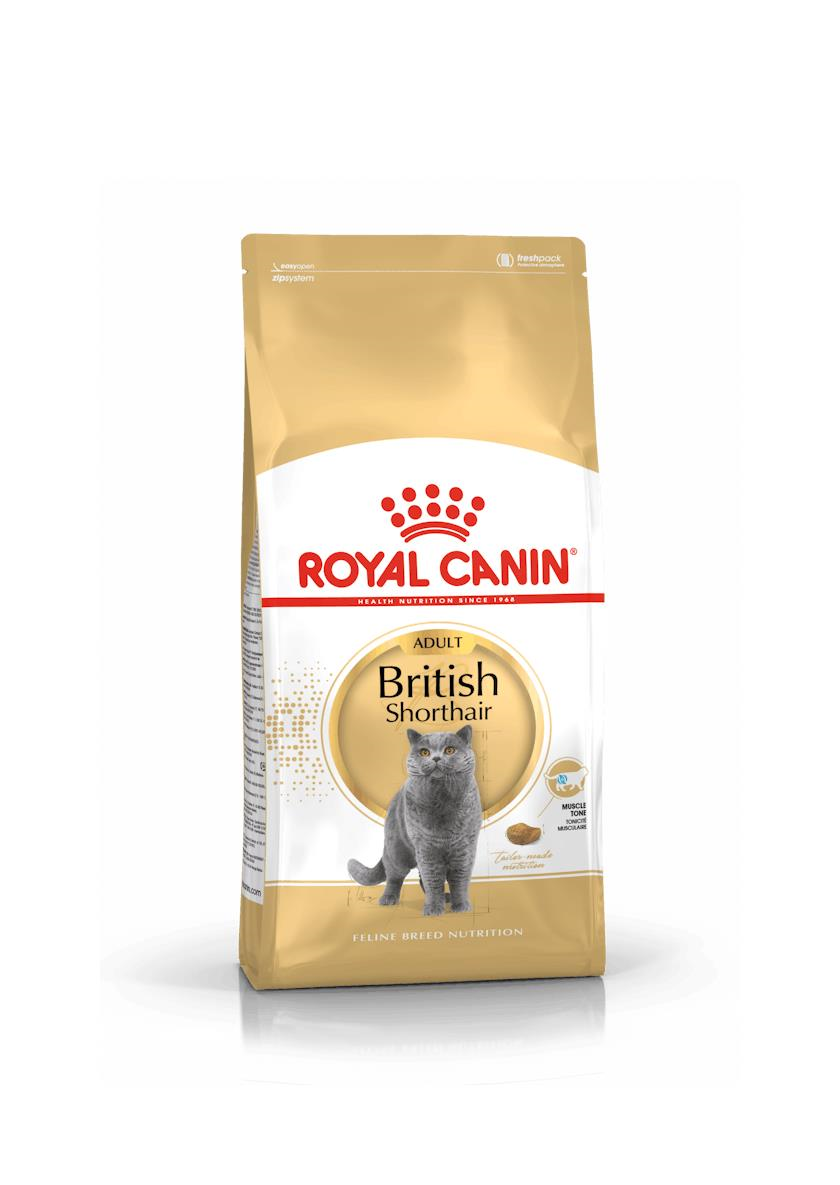 Royal Canin British Shorthair Adult Yetişkin Kedi Maması 2 Kg