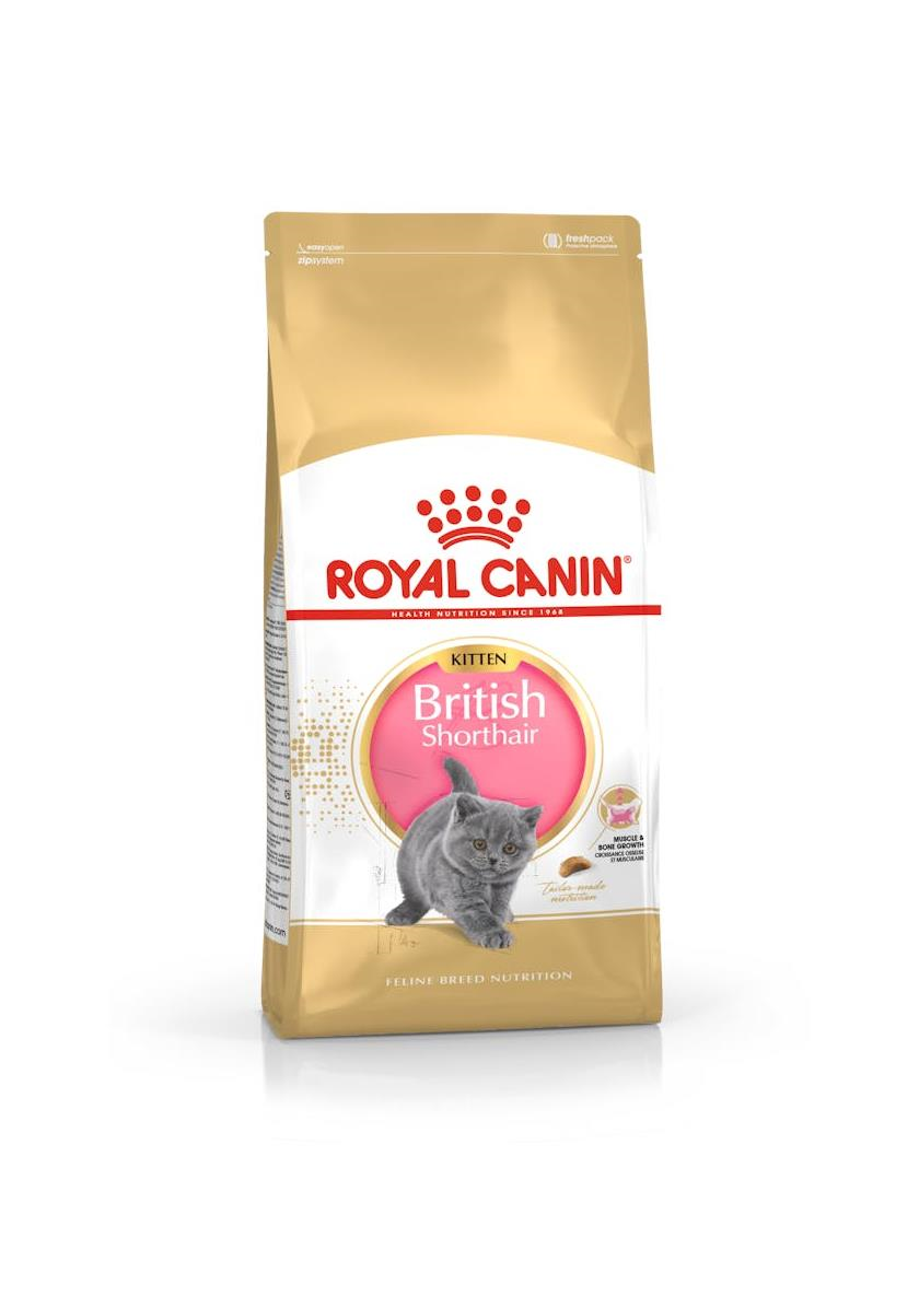 Royal Canin British Shorthair Kitten Yavru Kedi Maması 2 Kg