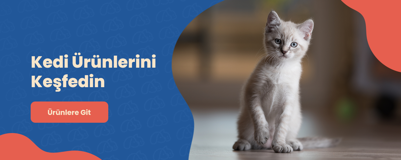 Kedi Ürünleri