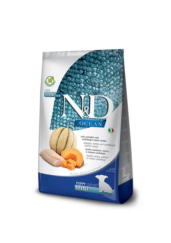 N&D Ocean Morina Balıklı Bal Kabaklı ve Kavunlu Küçük Irk Tahılsız Yavru Köpek Maması 2,5 Kg