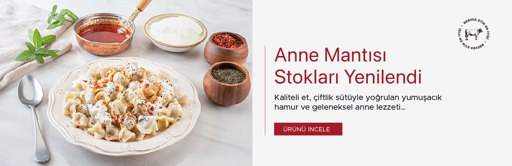 Anne Mantısı