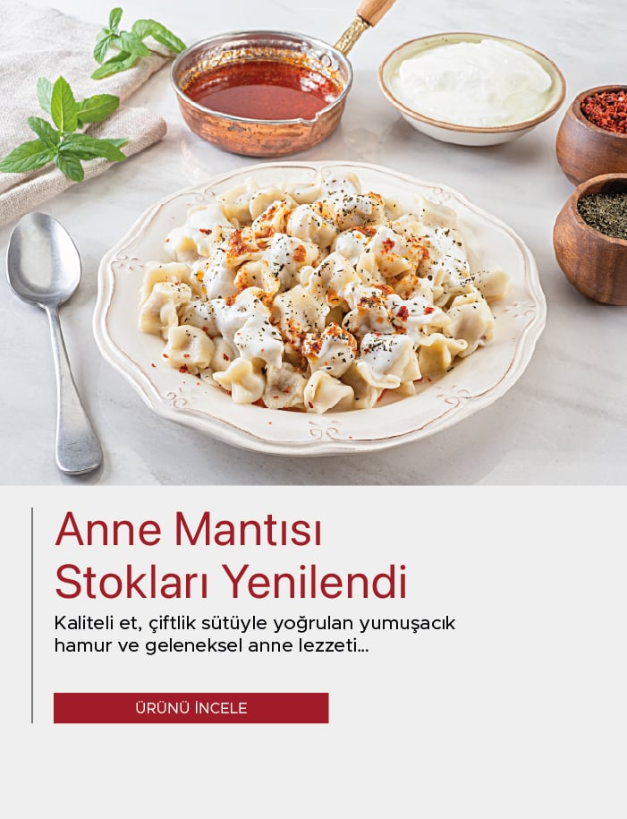 Anne Mantısı