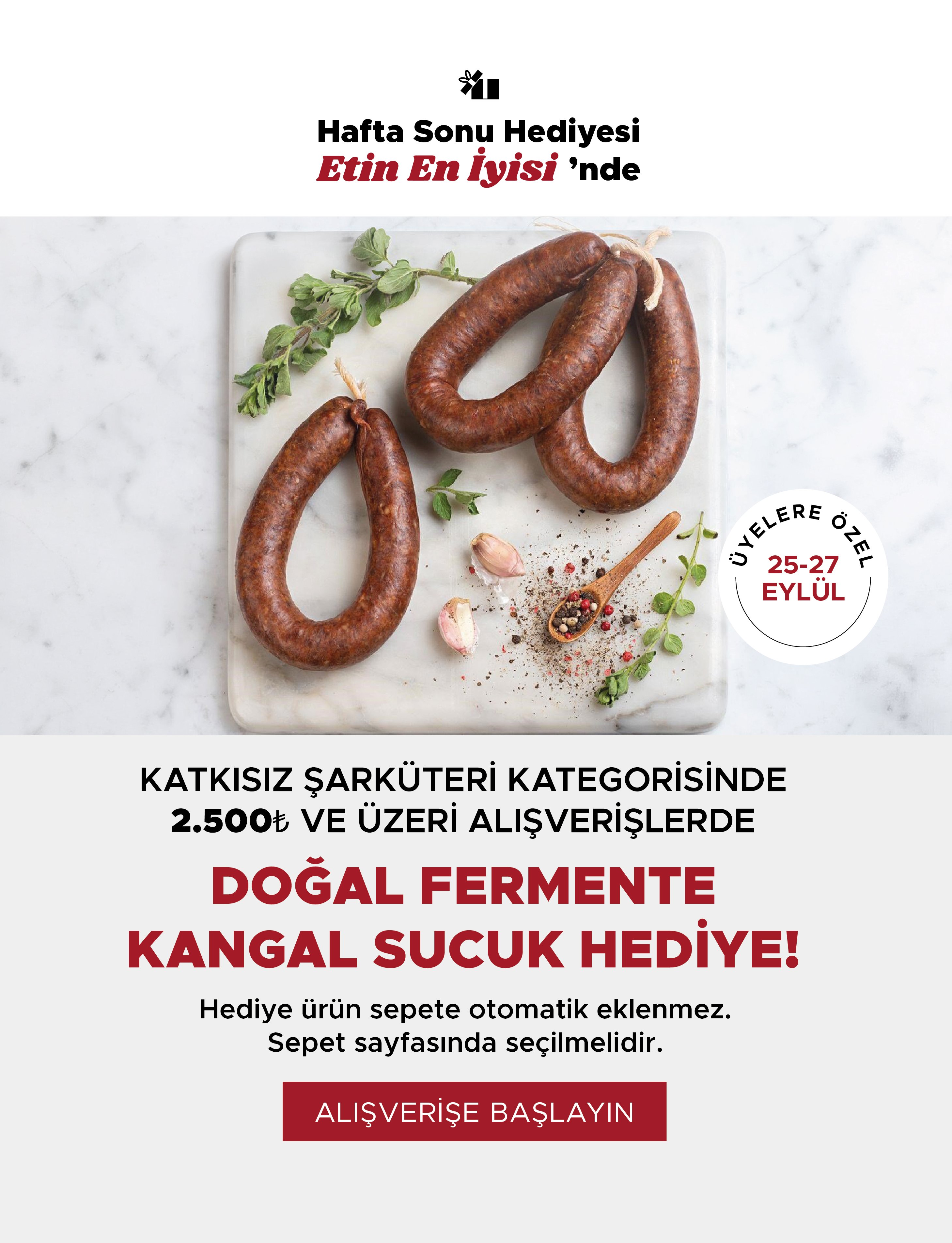Kampanya Görseli