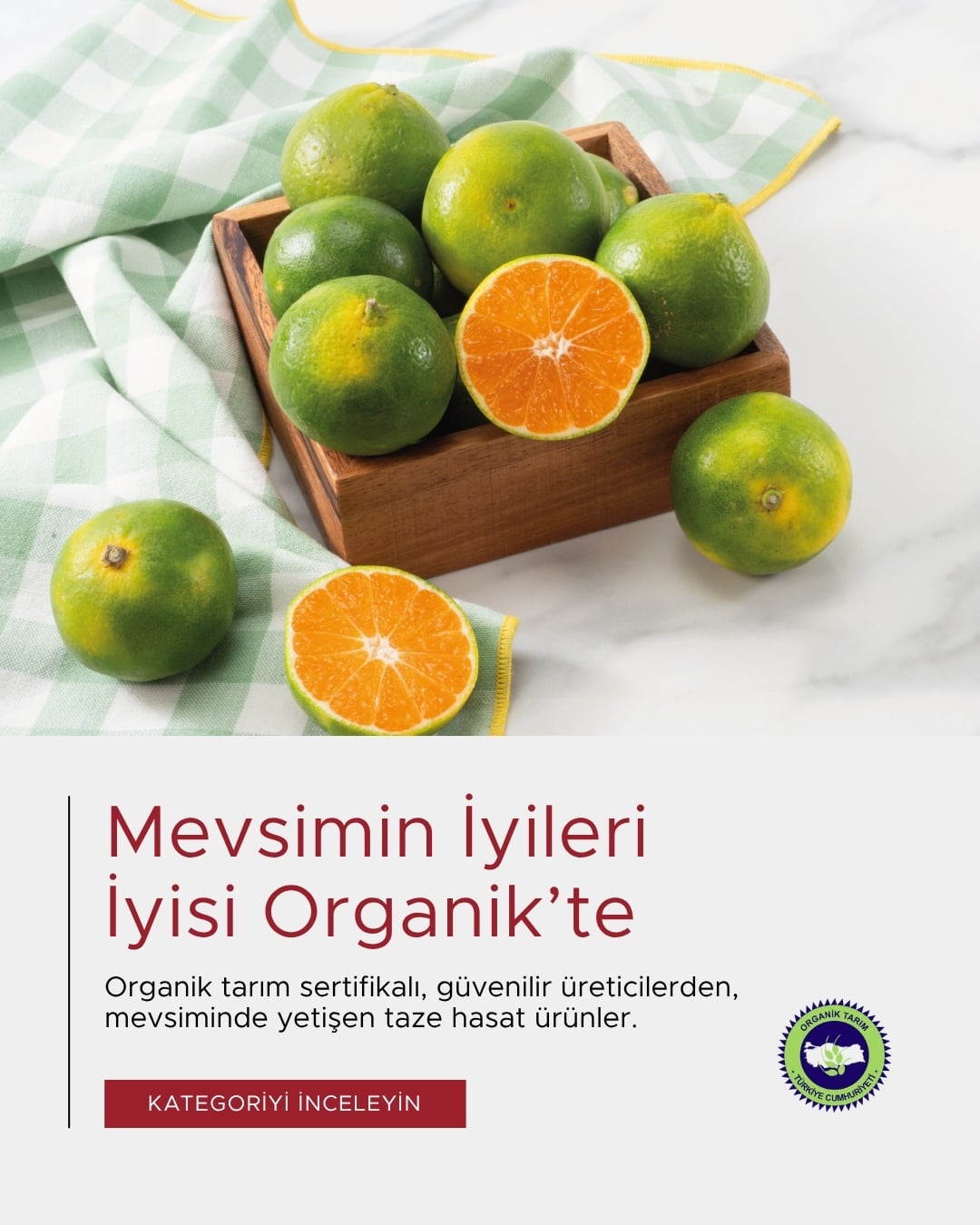 Organik Sebze & Meyve Stoklarımız Yenilendi