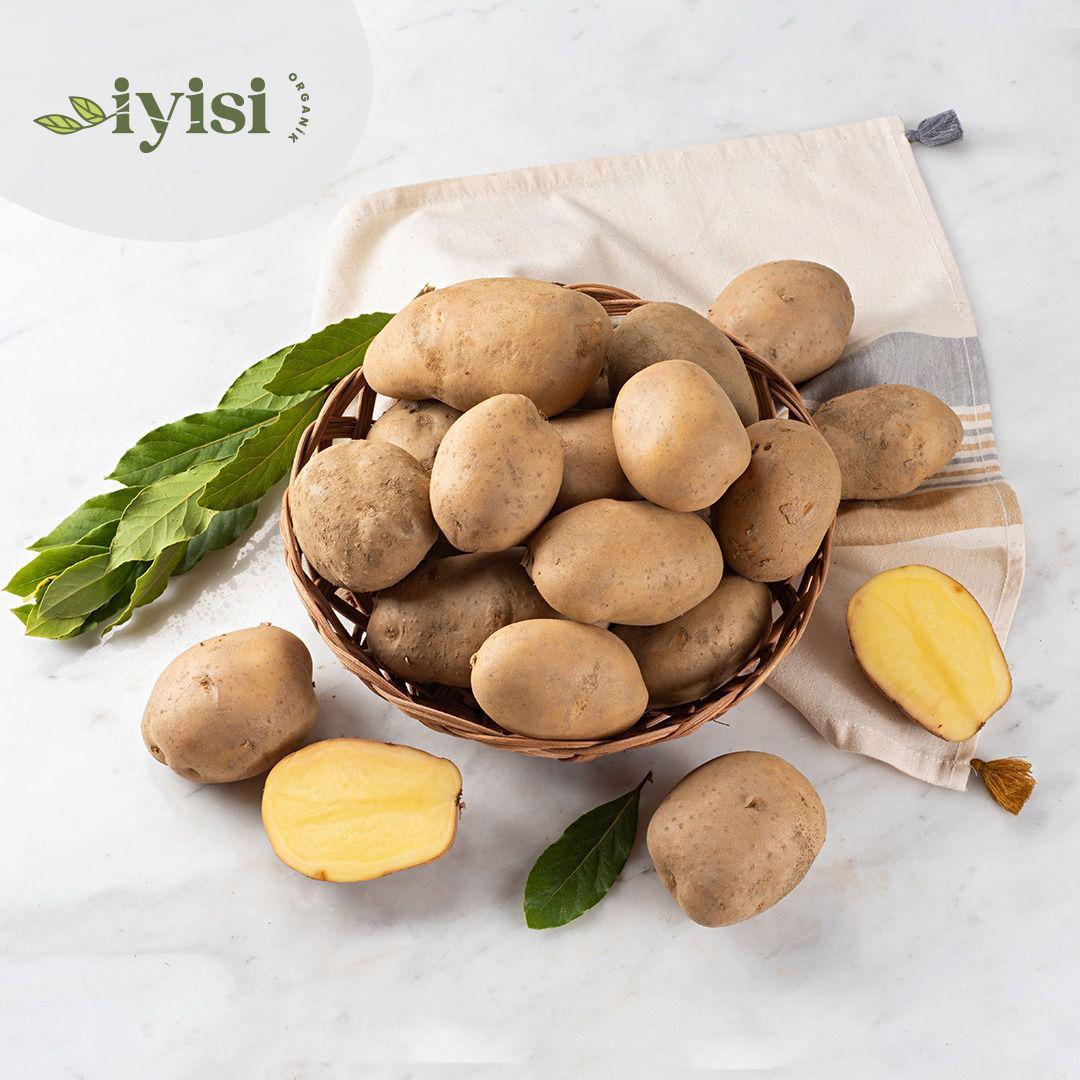 Organik Mini Patates