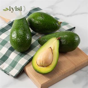 Organik Avokado