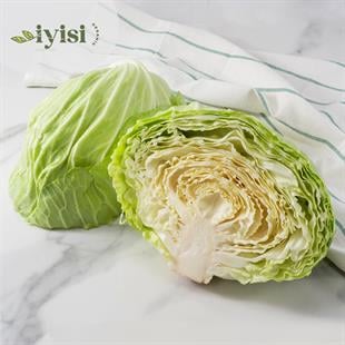 Organik Beyaz Lahana