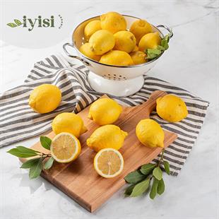 Organik Limon
