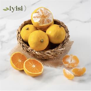 Organik Satsuma  Mandalina