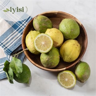 Organik Kütdiken Limon