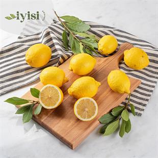Organik Yatak Limon