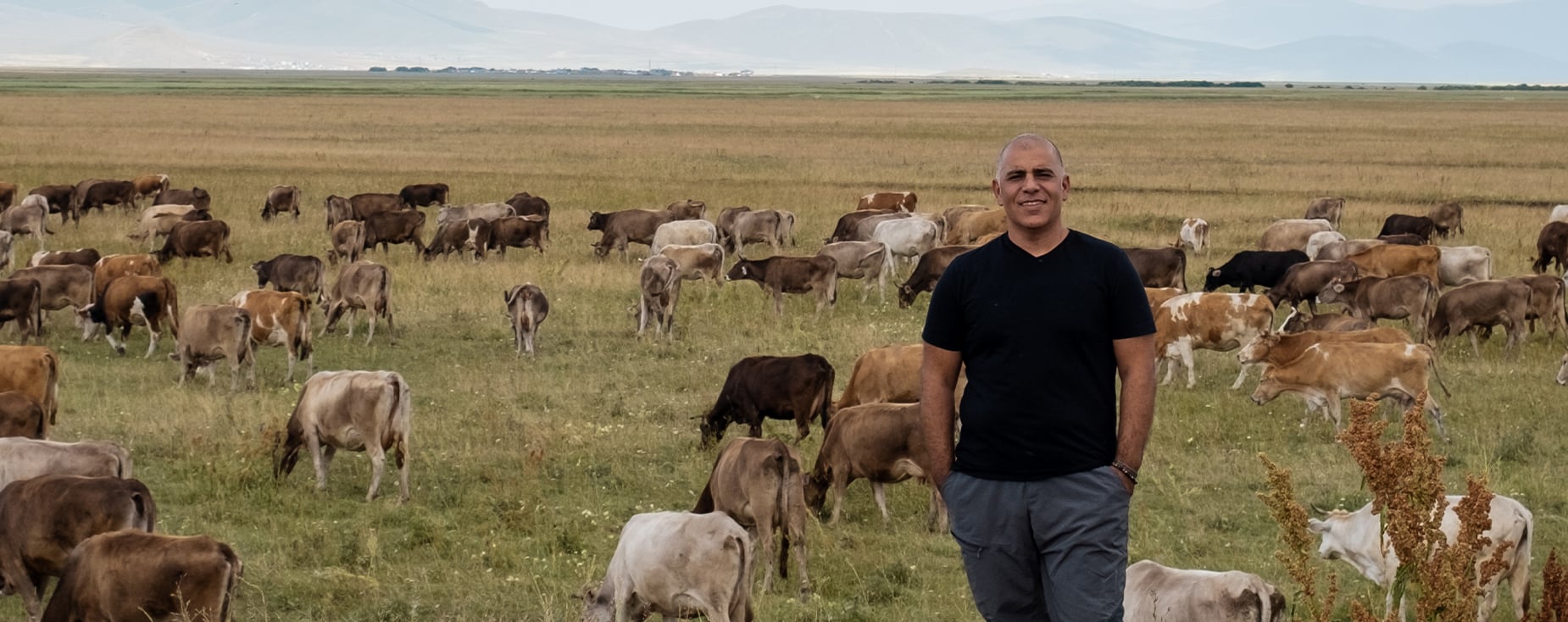 Etin En İyisi Çiftliği Hayvanların Beslenmesi