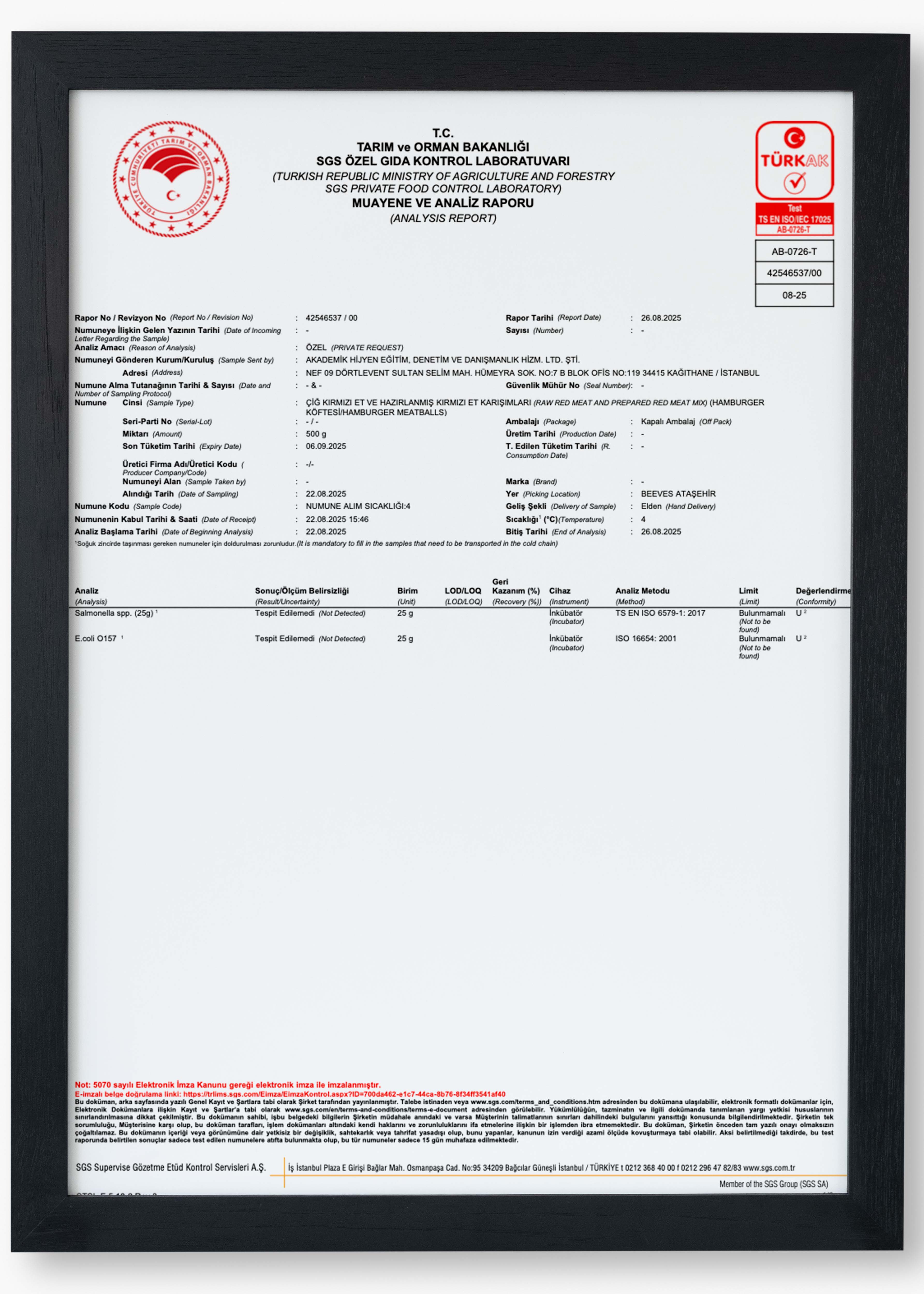 Hamburger Patty Microbiological Analysis Result, January 2025