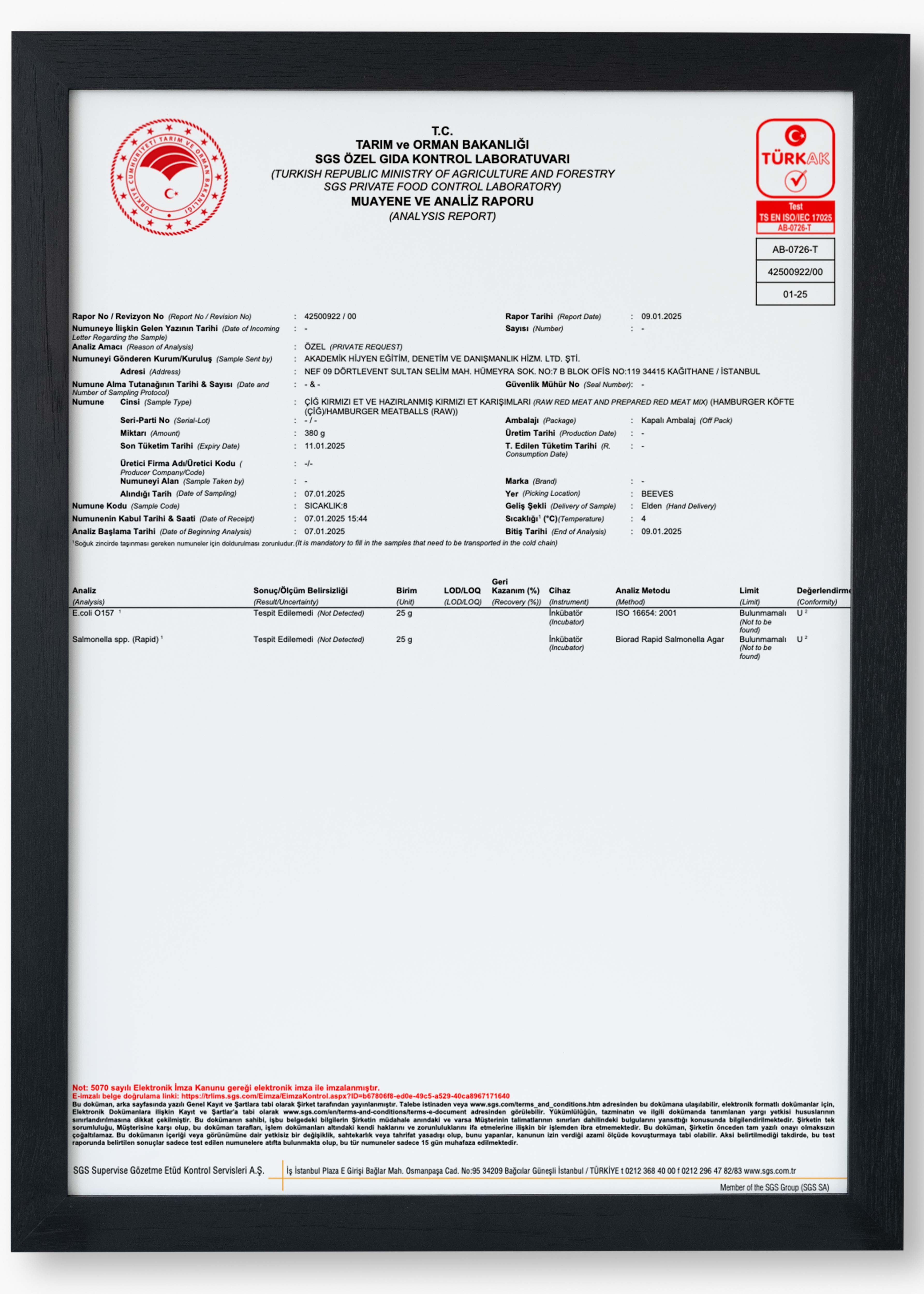 Meatball Microbiological Analysis Result, January 2025