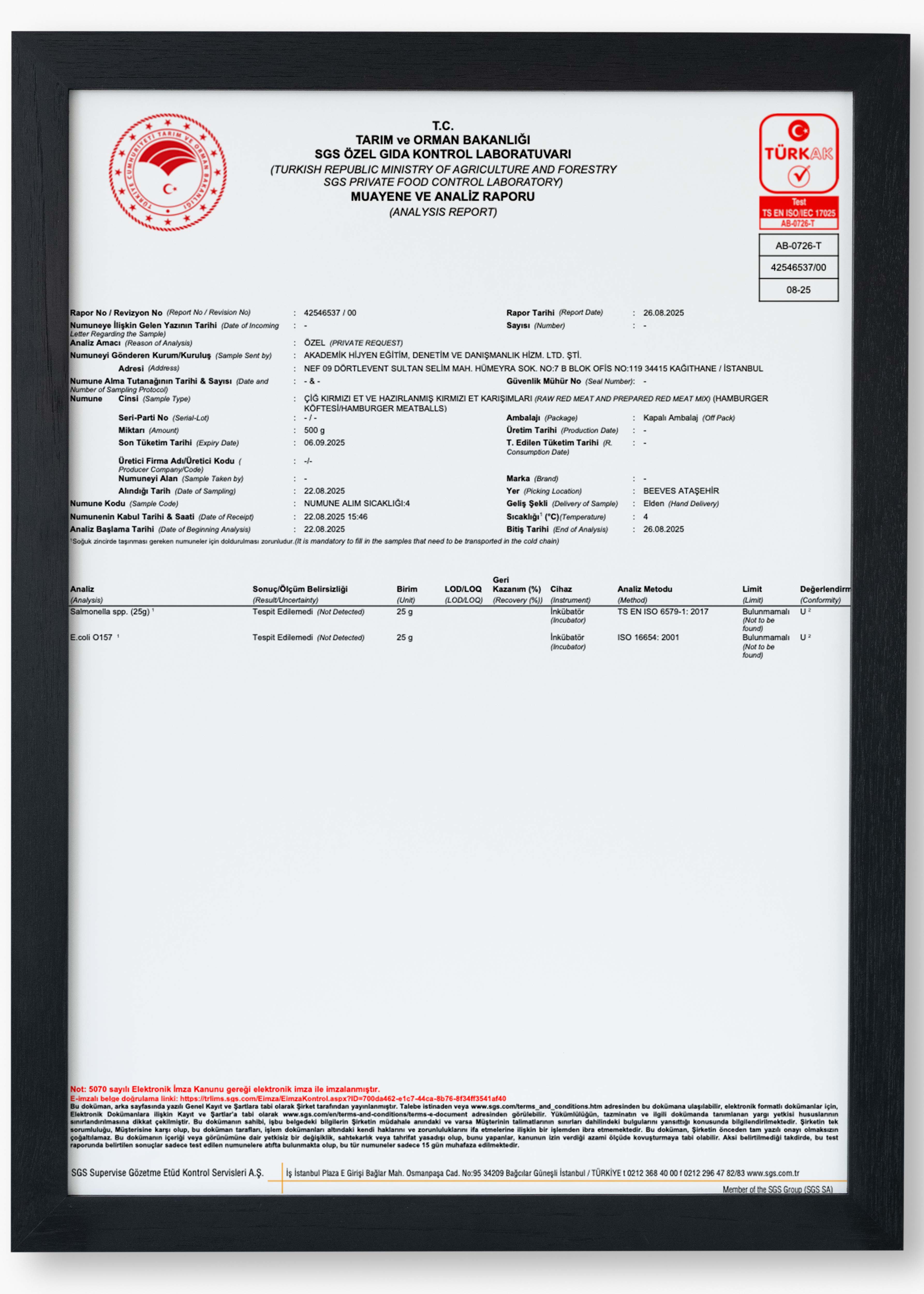 Meatball Microbiological Analysis Result, August 2025