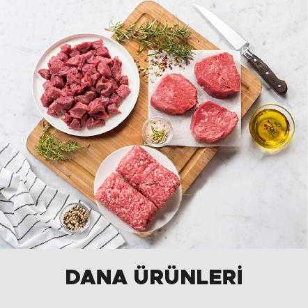Dana Ürünleri