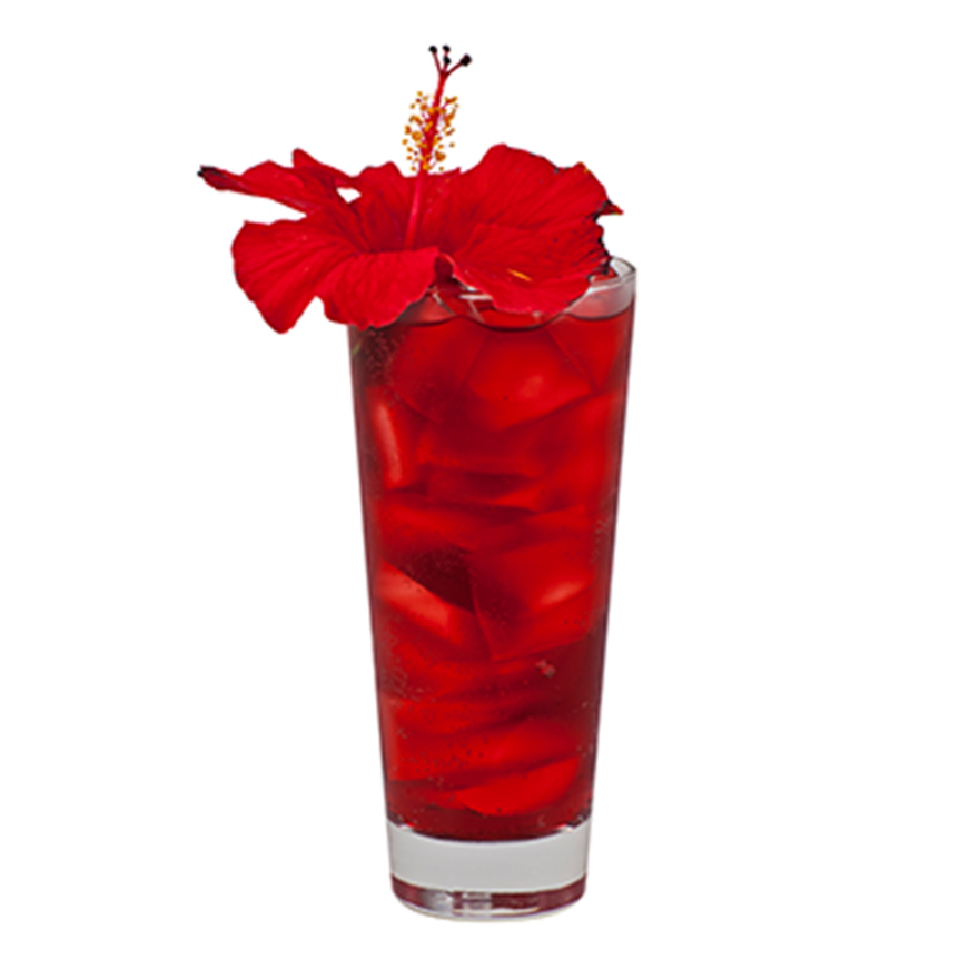Hibiscus Strawberry Soda
