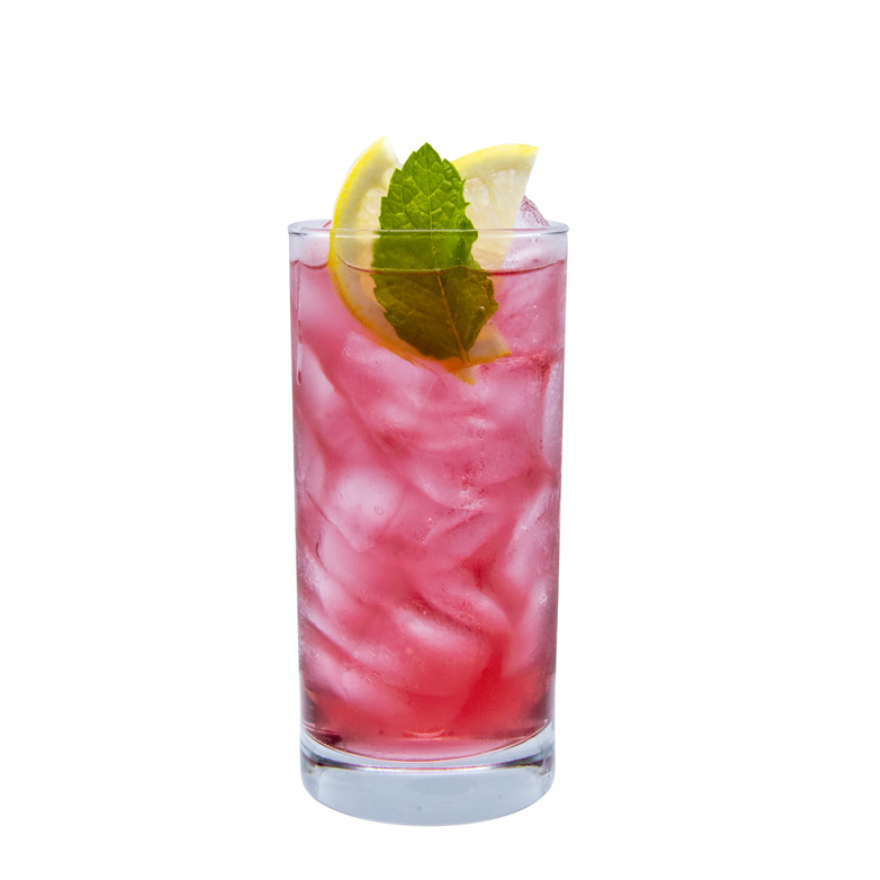 Hibiscus Vanilla Italian Soda görseli