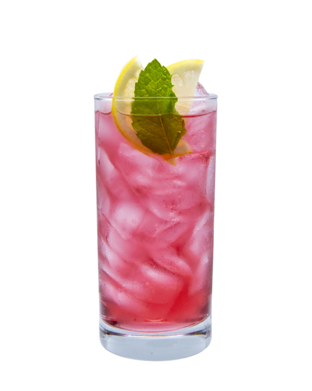 Hibiscus Vanilla Italian Soda