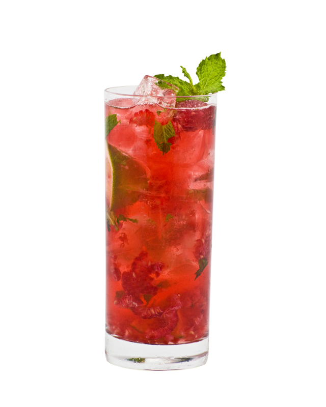 Raspberry Hibiscus Mojito