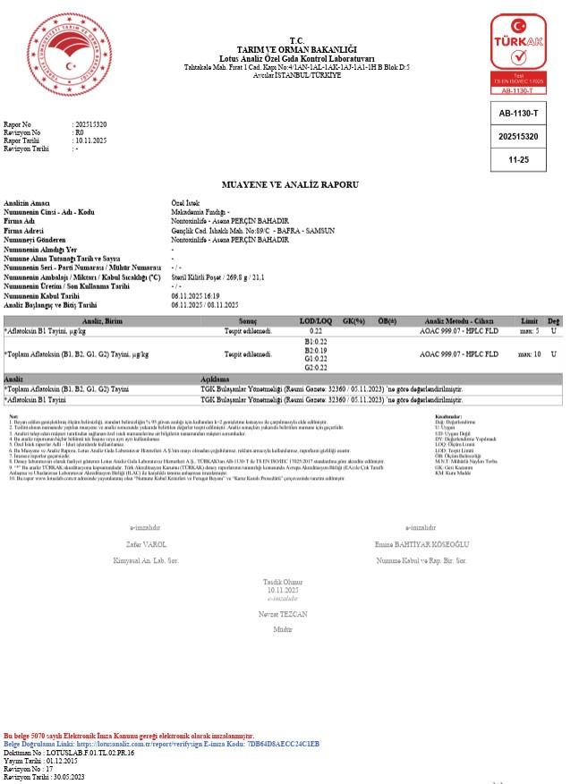 Makademya Fındığı