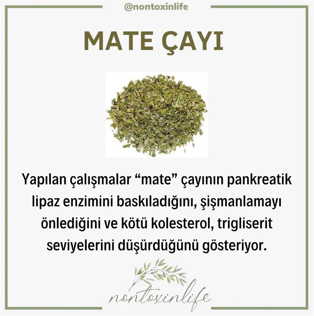 Mate Çayı