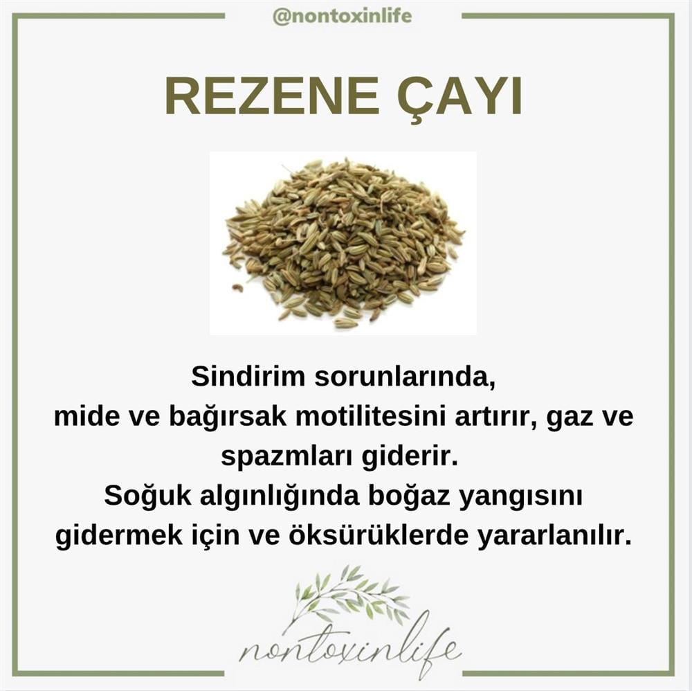 Rezene Çayı