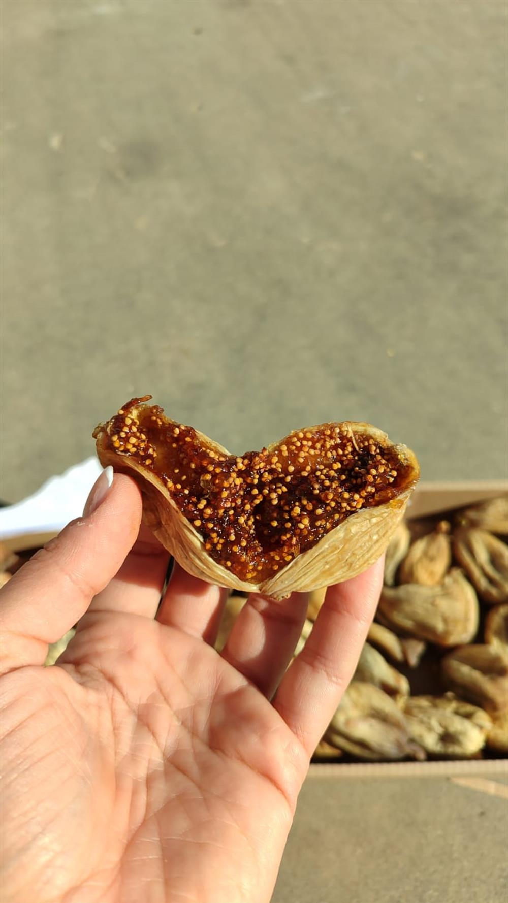 Dağ İnciri(Yeni Mahsul)