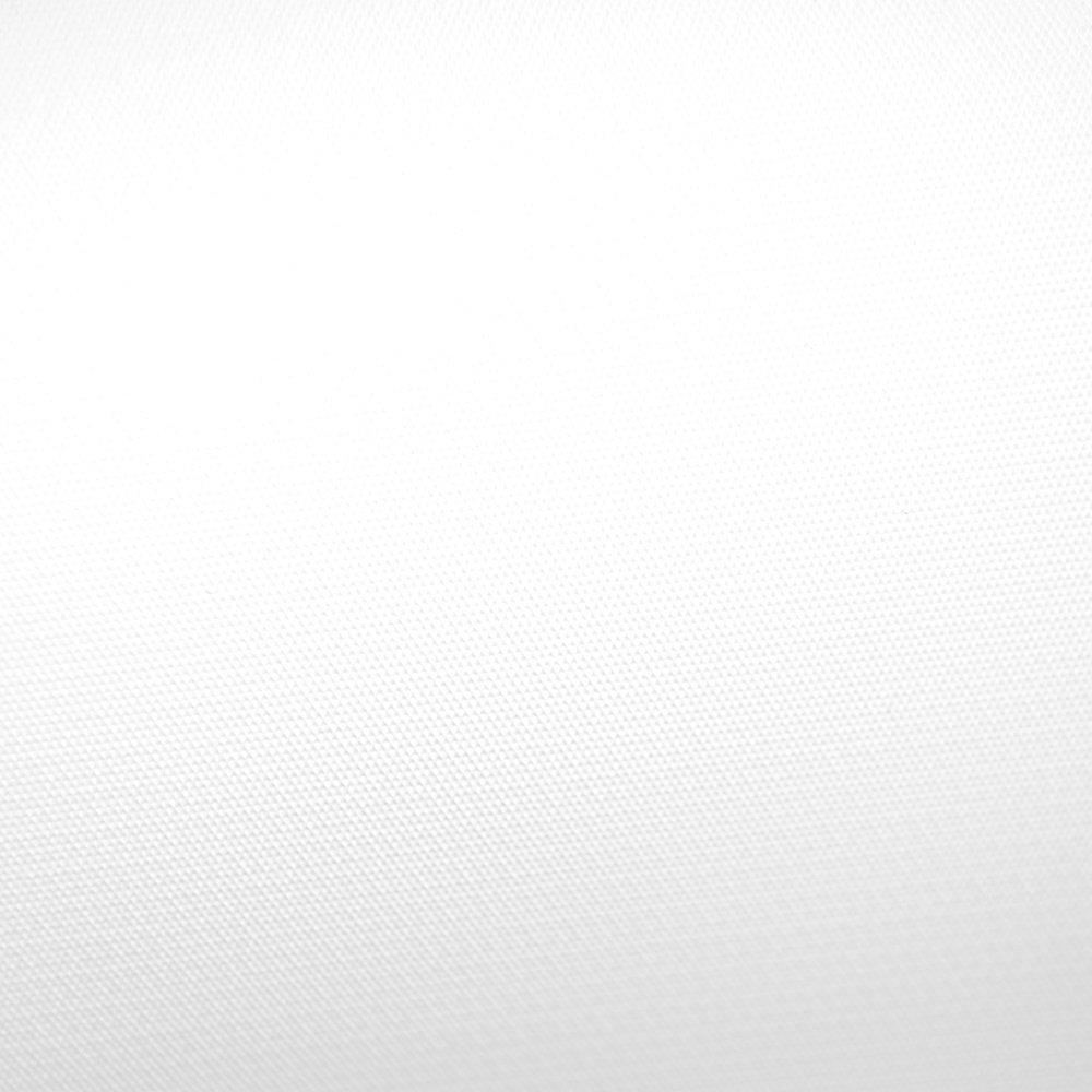 Savage (U.S.A) Stüdyo Fon Pure White Vinyl 3x6 m