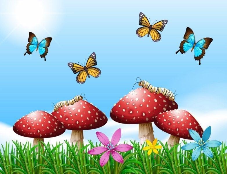 Weifeng Ç25 Bebek ve Çocuk Fonu 150x200cm