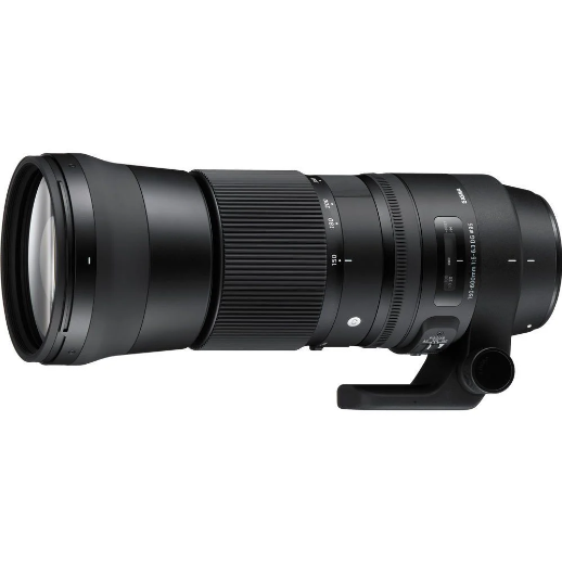 Sigma 150-600mm f/5-6.3 DG OS HSM (C) Lens (Nikon F Bayonet)