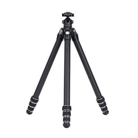 FALCAM TreeRoot Quick Lock Lite Carbon Fiber Travel Tripod F38 Ball Head - T00A4903
