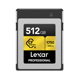 Lexar 512GB Professional CFexpress Type-B Hafıza Kartı