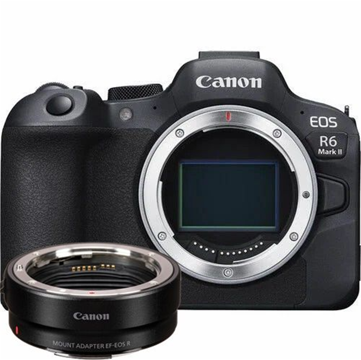 Canon EOS R6 Mark II Body + Canon (EF-RF) Mount Adaptör