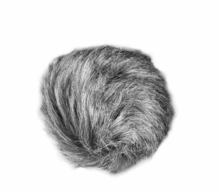 Zoom Mikrofon Universal Windscreen