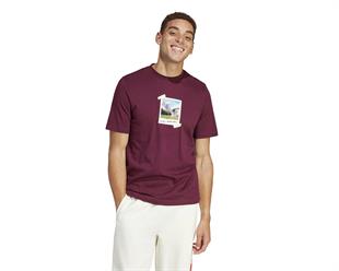 Adidas IS9045 M All Day I Tee Erkek Tişört