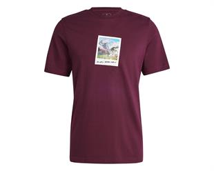 Adidas IS9045 M All Day I Tee Erkek Tişört
