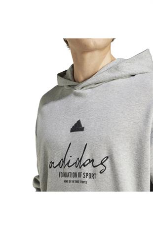 Adidas IX1316 Bl Ft Hd Q3 Erkek Sweatshirt