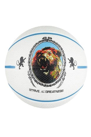 Nike N.100.4372.086.07 Playground 2.0 8P L Unisex Basketbol Topu