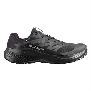Salomon L49214400 Alphaglide Gtx W Kadın Koşu Ayakkabısı