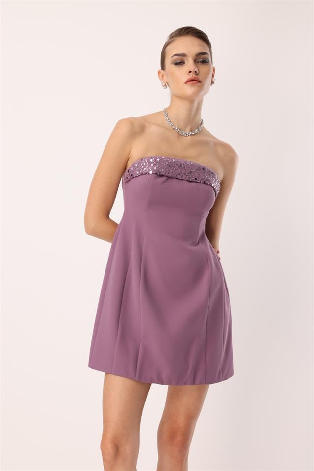 Yaka İşleme Detaylı Mini Elbise MOR