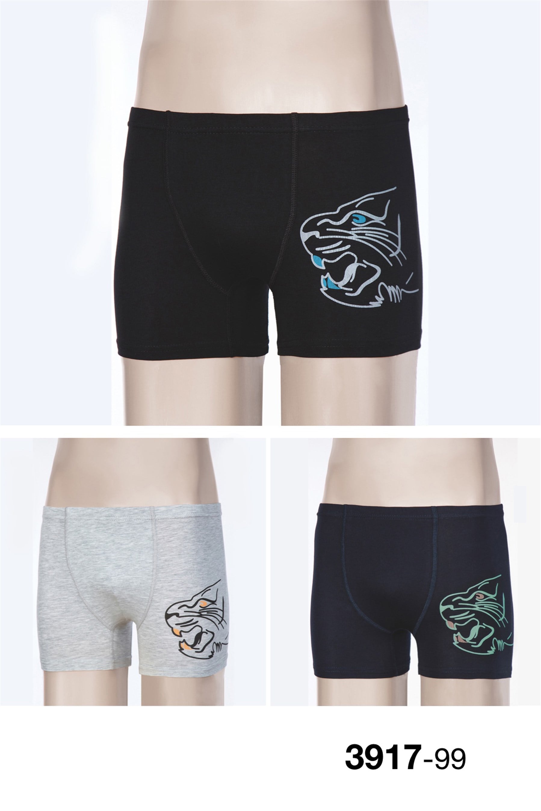 3917-630 Baykar Erkek Gar Kap Boxer