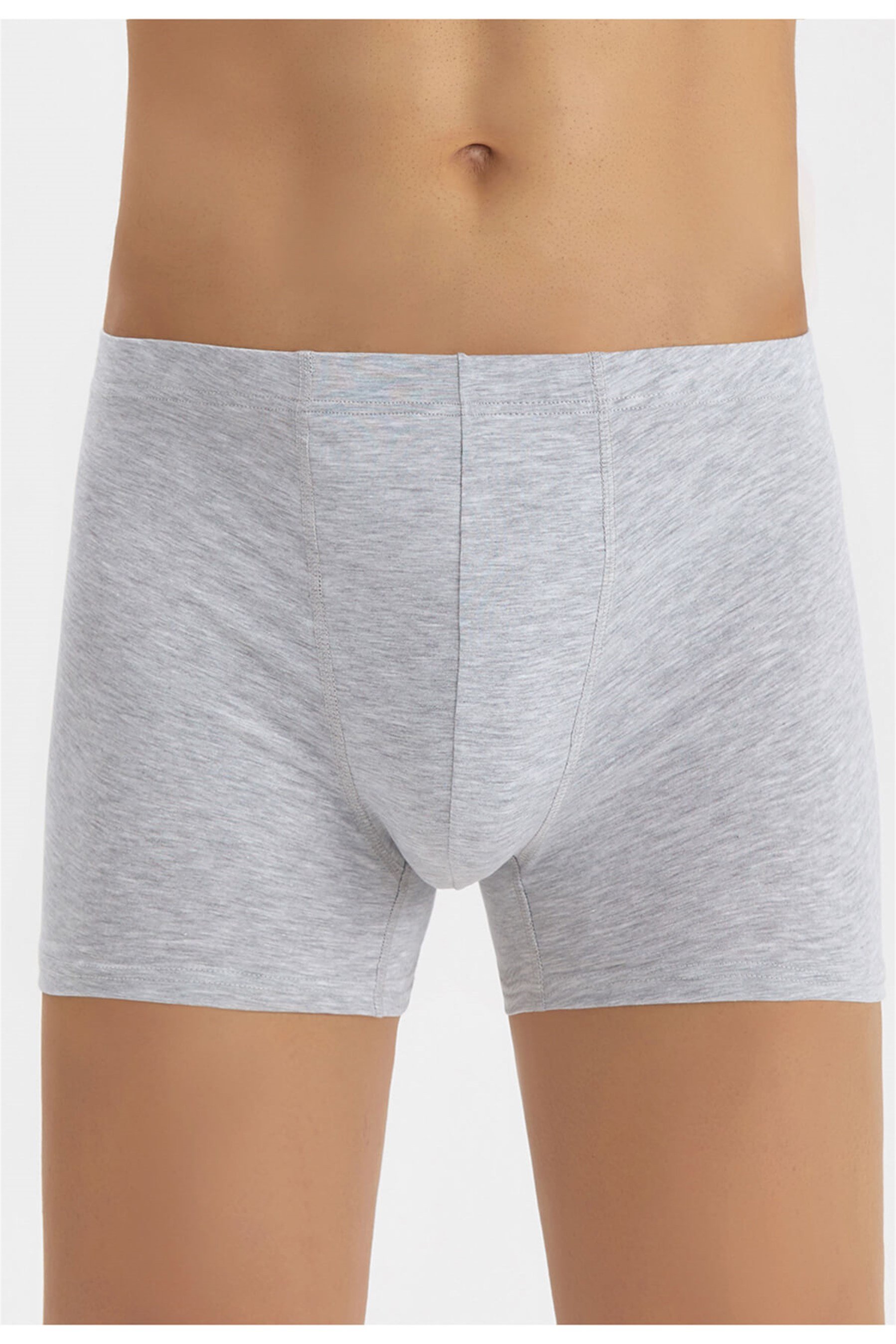 1210-20 Baykar ErkekGeçme Boxer Açık Gri