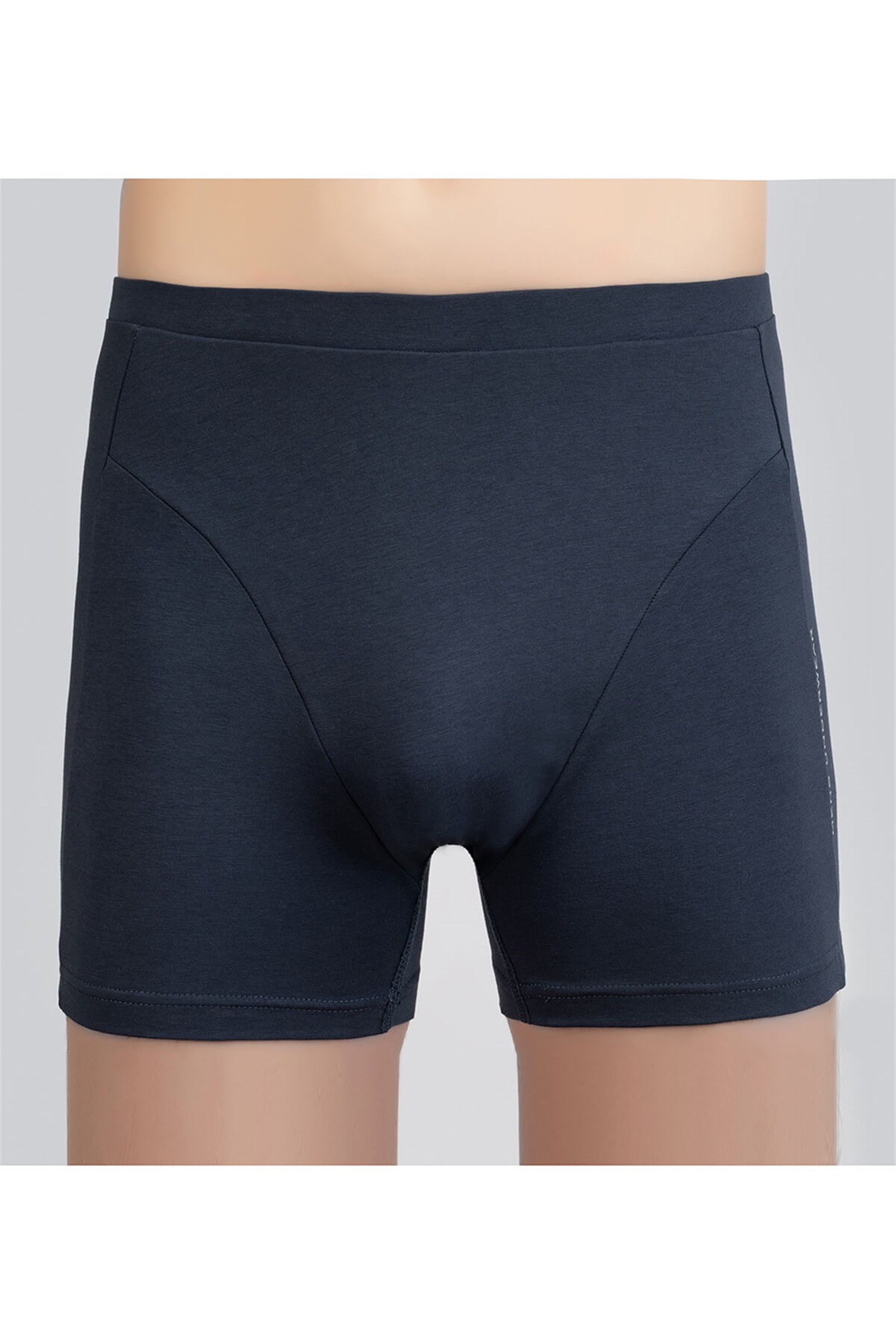 1223-23 Baykar Erkek Boxer Mavi